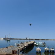 Baja2011 453 : Baja2011